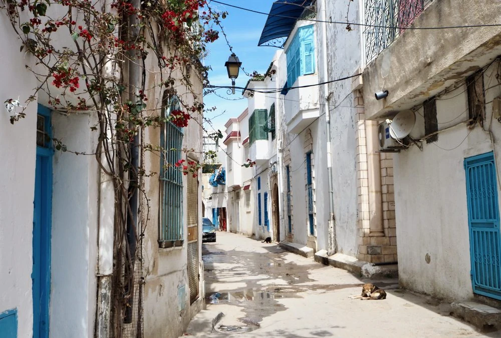 Ancient History, Sunshine And Friendly People, That’s Tunisia 